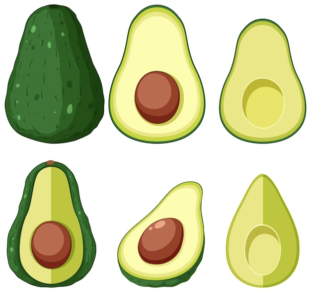 Aguacate en piezas enteras y medias