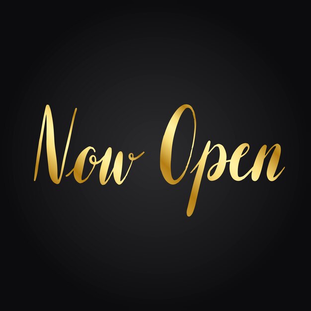 Ahora abre el vector de estilo de tipografía