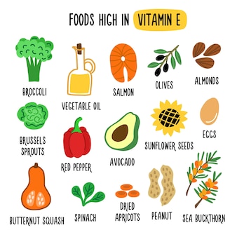 Alimentos ricos en vitamina e fuente de vitamina e ilustración de dibujos animados de vector plano