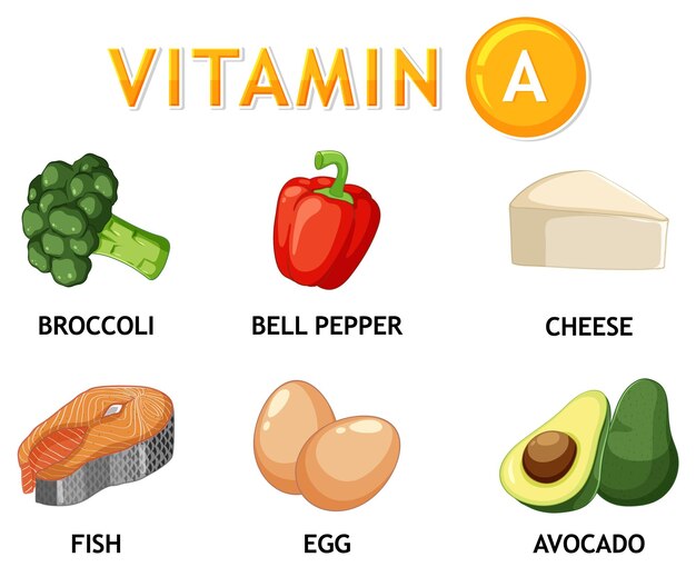Alimentos saludables que contienen vitamina A para una dieta equilibrada