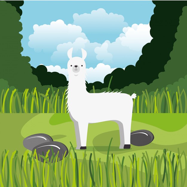 alpaca salvaje en la escena de la selva