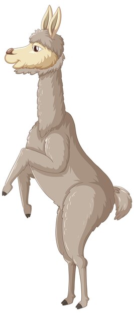 Una alpaca sobre fondo blanco.