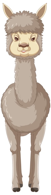 Vector gratuito una alpaca sobre fondo blanco.