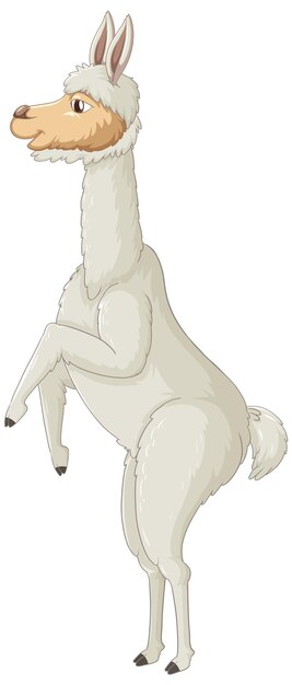 Una alpaca sobre fondo blanco.