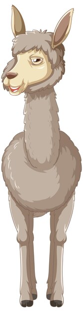 Una alpaca sobre fondo blanco.