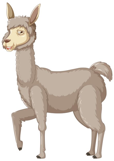 Una alpaca sobre fondo blanco.
