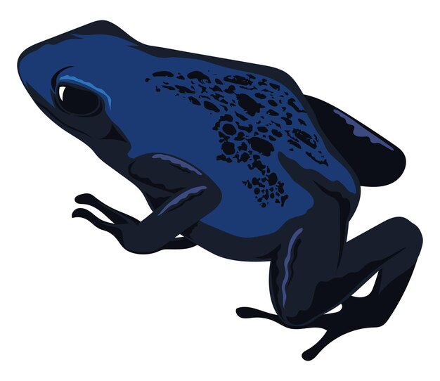 anfibio rana azul