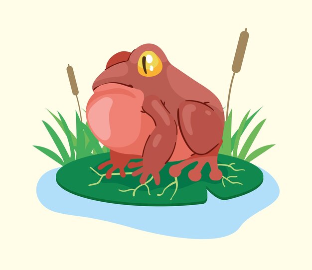 Anfibio de rana roja en el lago