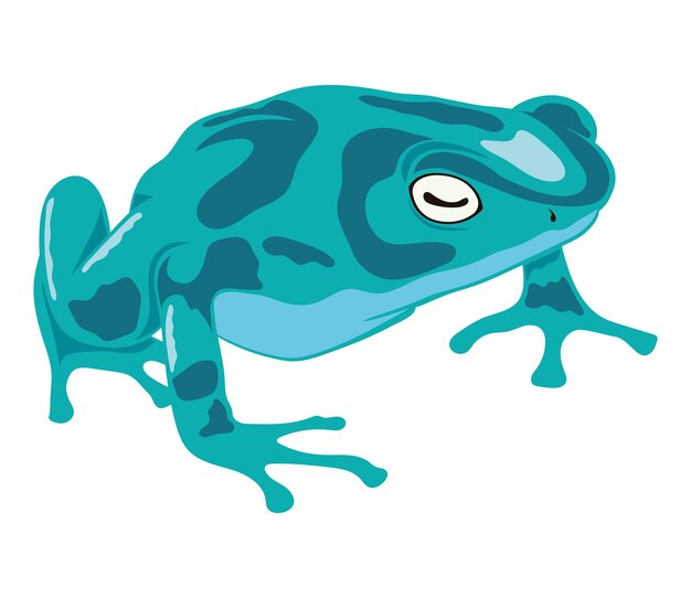 anfibio rana verde claro