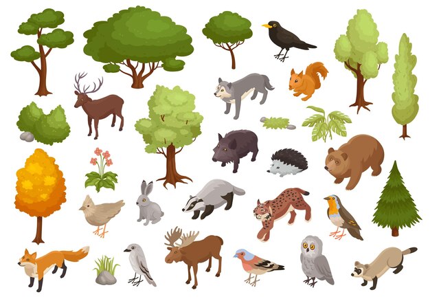 Animal de bosque grande isométrico con íconos aislados de habitantes del bosque con árboles de aves y flores ilustración vectorial