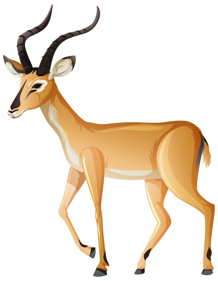 Vector gratuito animal impala sobre fondo blanco.