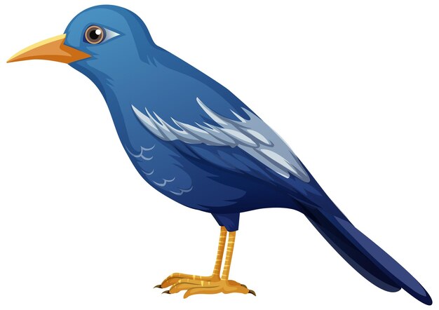 Animal pájaro azul sobre fondo blanco