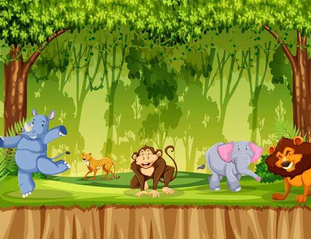Animal salvaje en el bosque