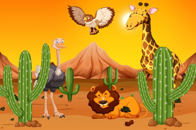 Animal salvaje en el desierto