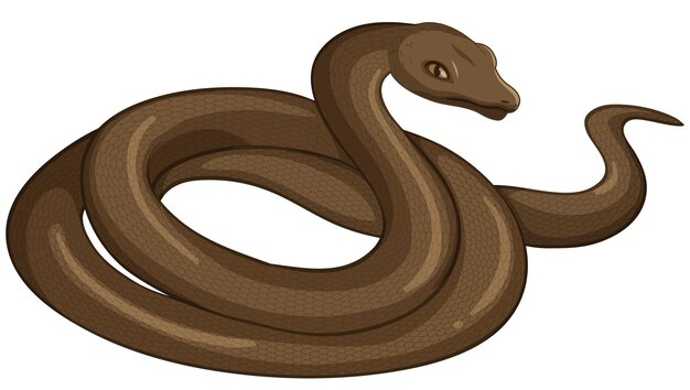 Animal serpiente sobre fondo blanco.
