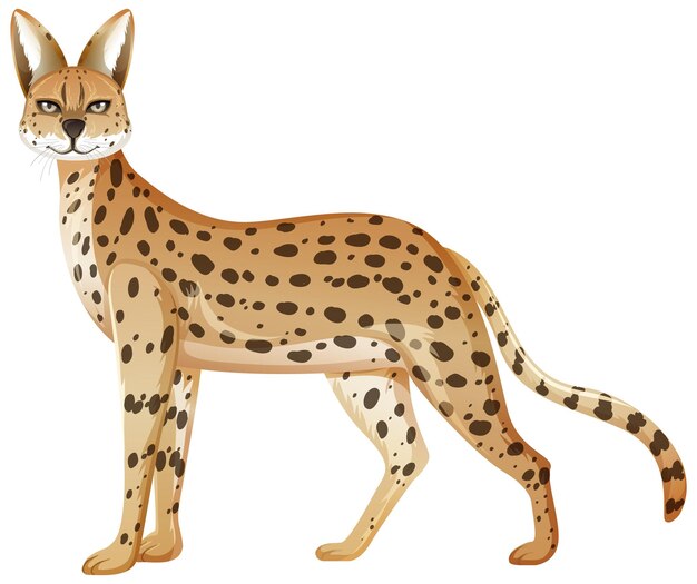 Animal Serval aislado sobre fondo blanco.