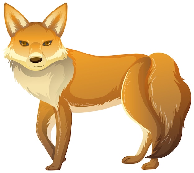 Animal zorro sobre fondo blanco