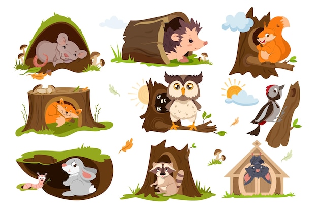 Los animales del bosque duermen o hibernan en agujeros de árboles