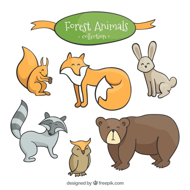 Animales del bosque encantadores