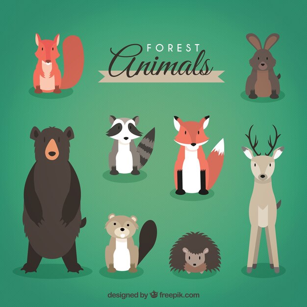 Los animales del bosque de frente paquete