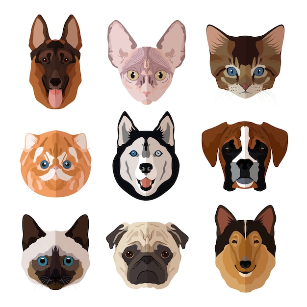 Animales domésticos retrato plana iconos conjunto con gatos perros gatitos y perros aislados ilustración vectorial