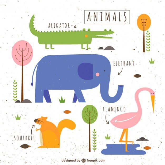 Animales lindos ilustrados