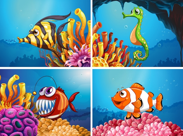 Animales marinos bajo el mar
