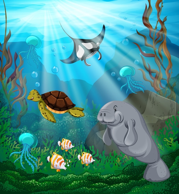 Animales marinos nadando bajo el mar