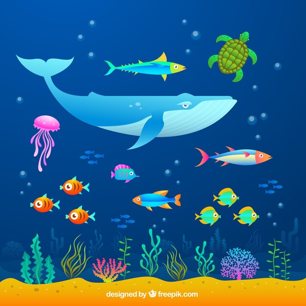 Animales marinos