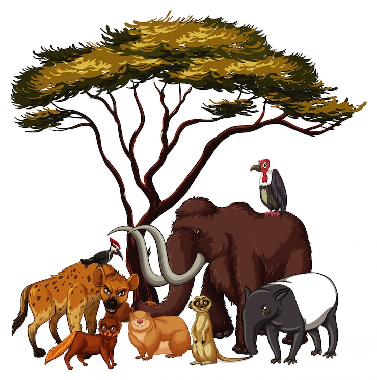 Vector gratuito animales salvajes aislados debajo del árbol
