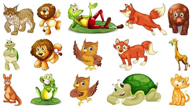 Animales salvajes con cara feliz