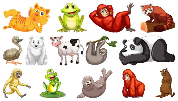 Animales salvajes en el fondo blanco