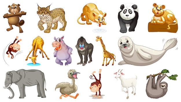 Vector gratuito animales salvajes en el fondo blanco