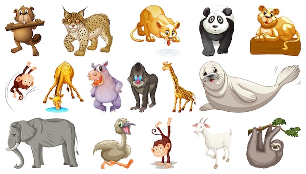 Animales salvajes en el fondo blanco