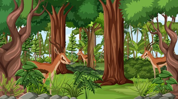 Animales salvajes en el fondo del paisaje forestal