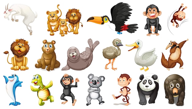 Animales salvajes sobre un fondo blanco