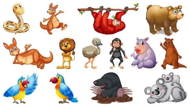 Animales salvajes con sonrisa feliz