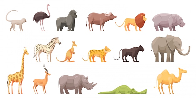 Vector gratuito animales salvajes