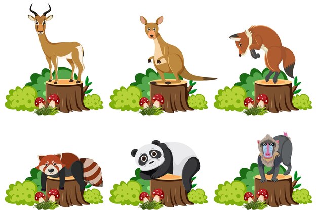 Animales sentados en el tronco de un árbol con un arbusto