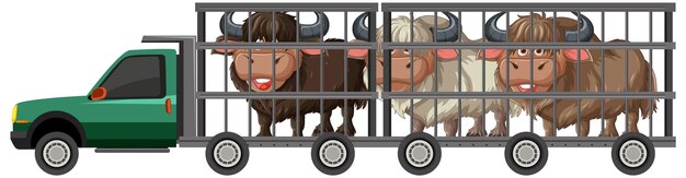 Animales transportados en un camión remolque