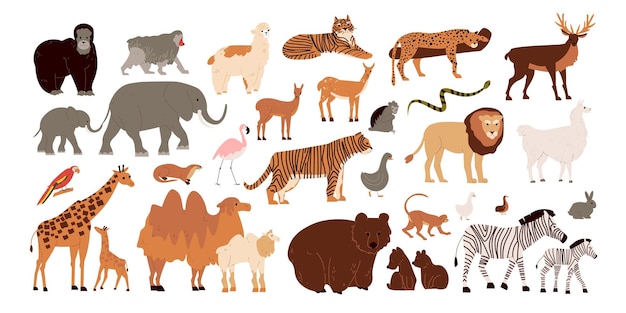 Animales del zoológico con mamíferos salvajes y aves ilustraciones vectoriales aisladas planas