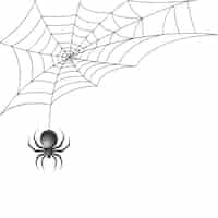 Vector gratuito araña negra con telaraña