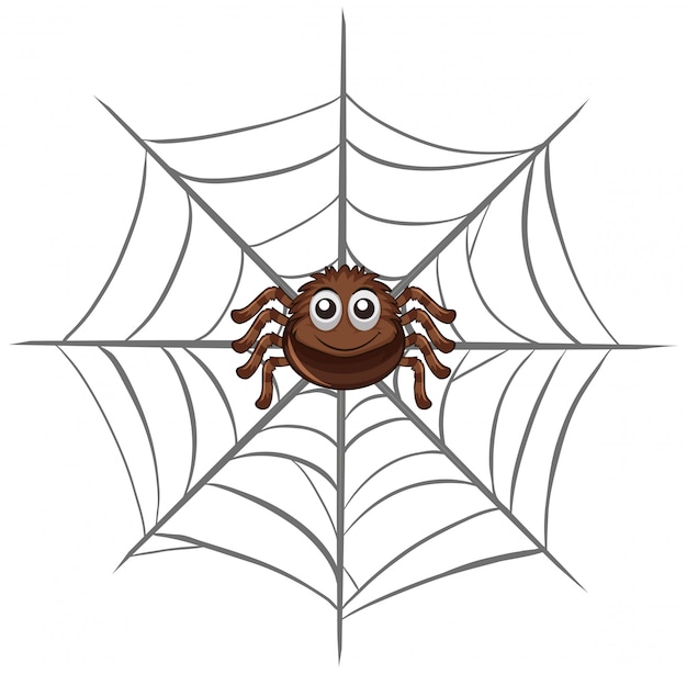 Araña en telaraña