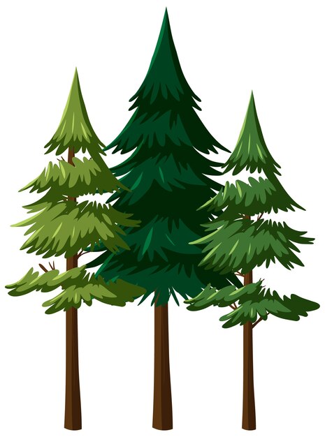 Árbol aislado en blanco