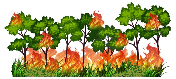 Vector gratuito árbol aislado naturaleza fuego