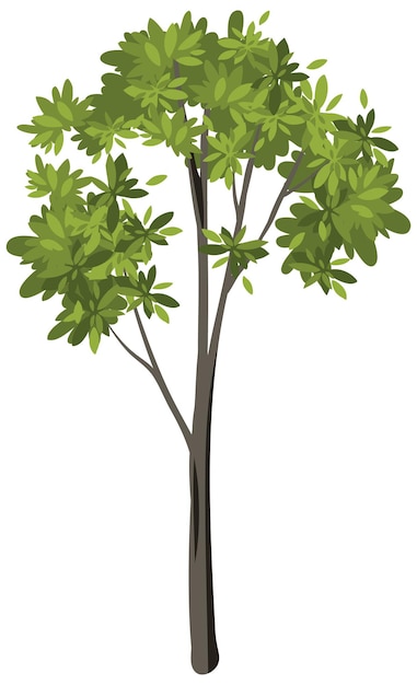 Vector gratuito Árbol aislado sobre fondo blanco