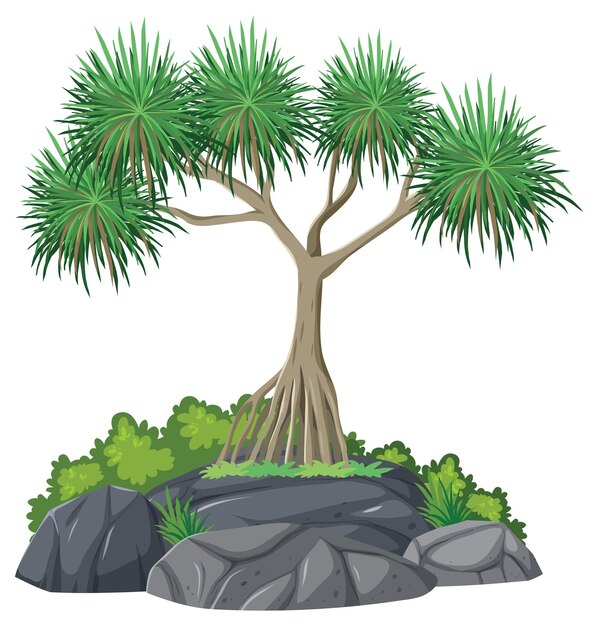 Árbol aislado sobre fondo blanco
