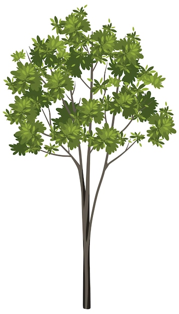 Vector gratuito Árbol aislado sobre fondo blanco