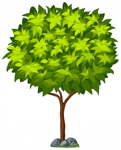 Vector gratuito Árbol aislado sobre fondo blanco