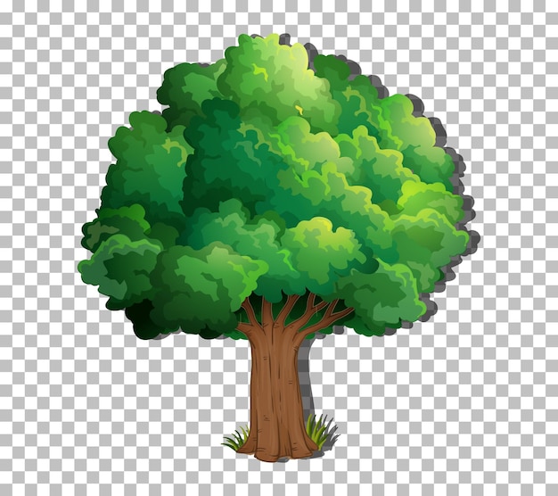 Vector gratuito un árbol aislado sobre fondo transparente